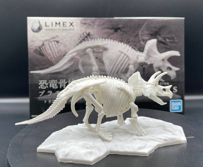 Limex Skeleton Triceratops