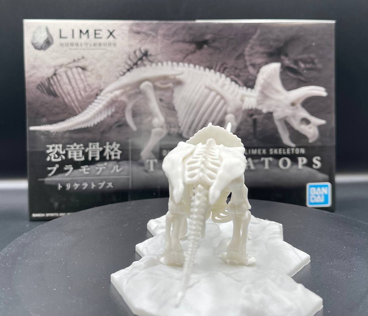 Limex Skeleton Triceratops