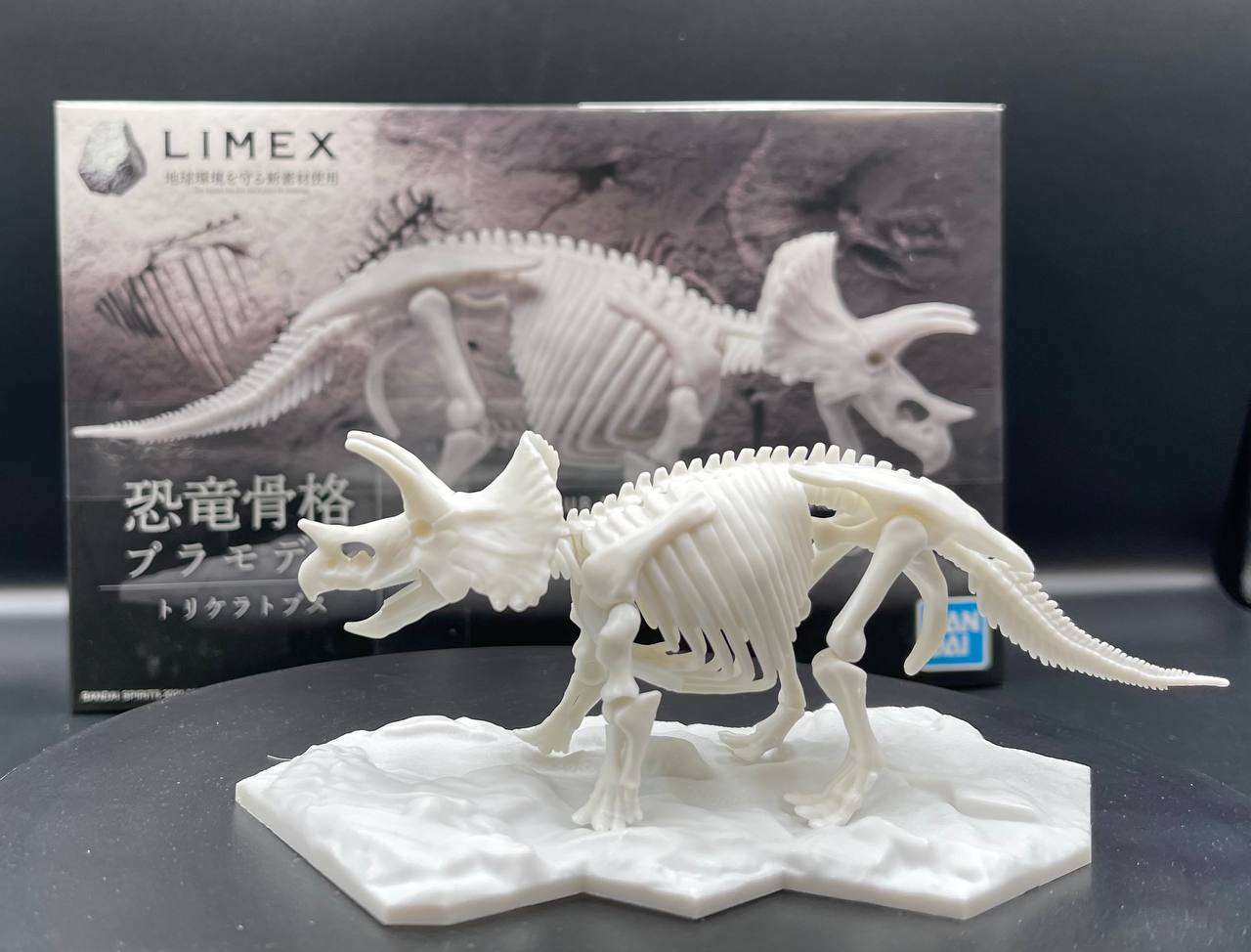 Limex Skeleton Triceratops