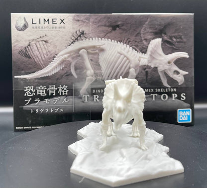 Limex Skeleton Triceratops