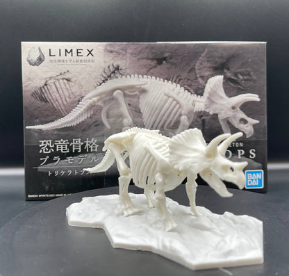Limex Skeleton Triceratops