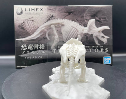 Limex Skeleton Triceratops