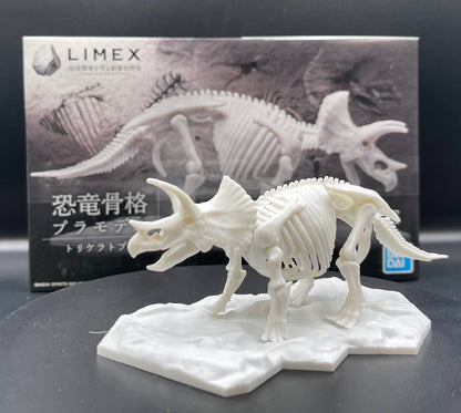 Limex Skeleton Triceratops